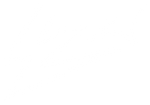 Z-Flash